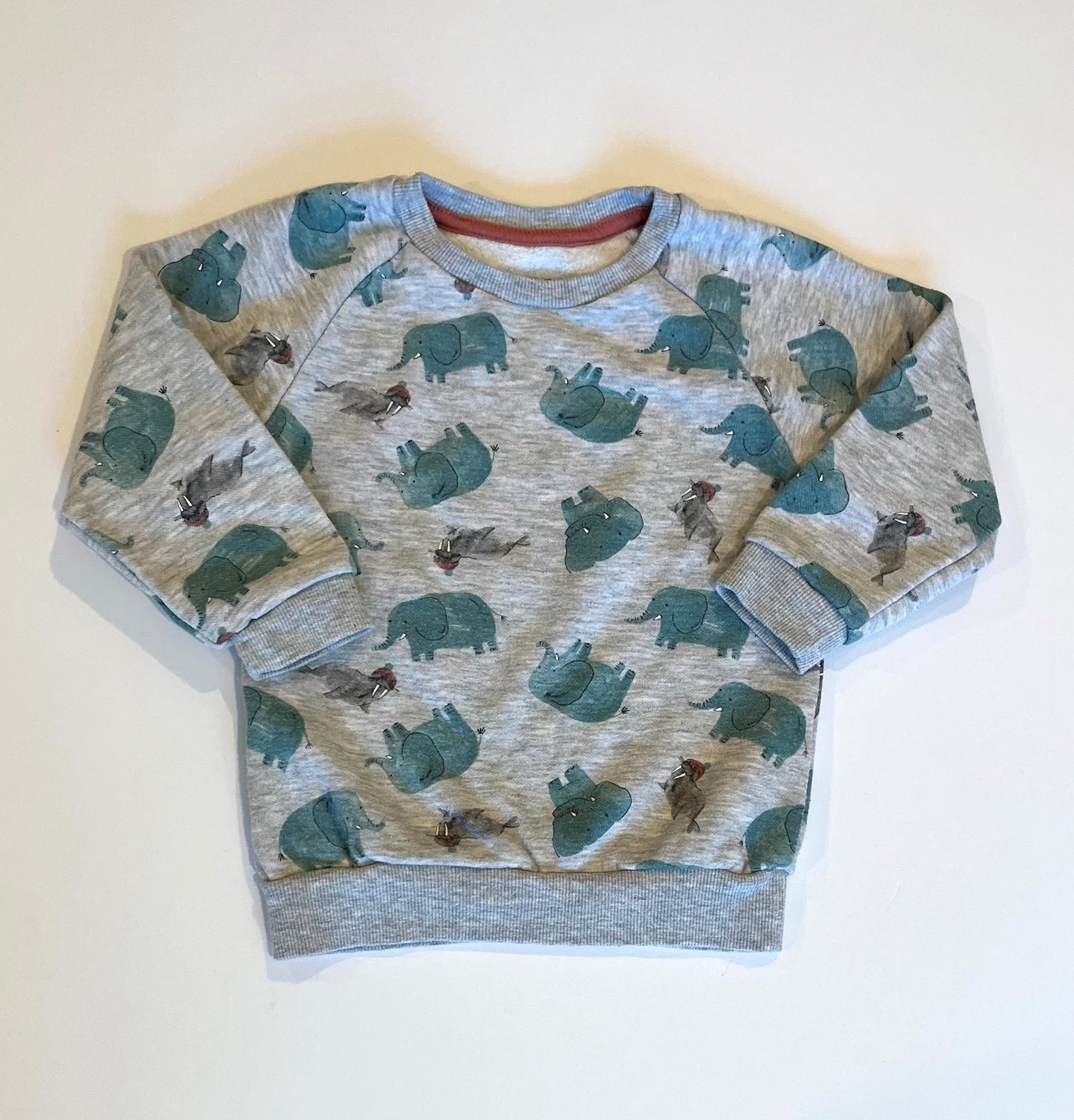 Seller #60 Primark Animal Sweatshirt Boys Size 24-26mo/2-3yrs