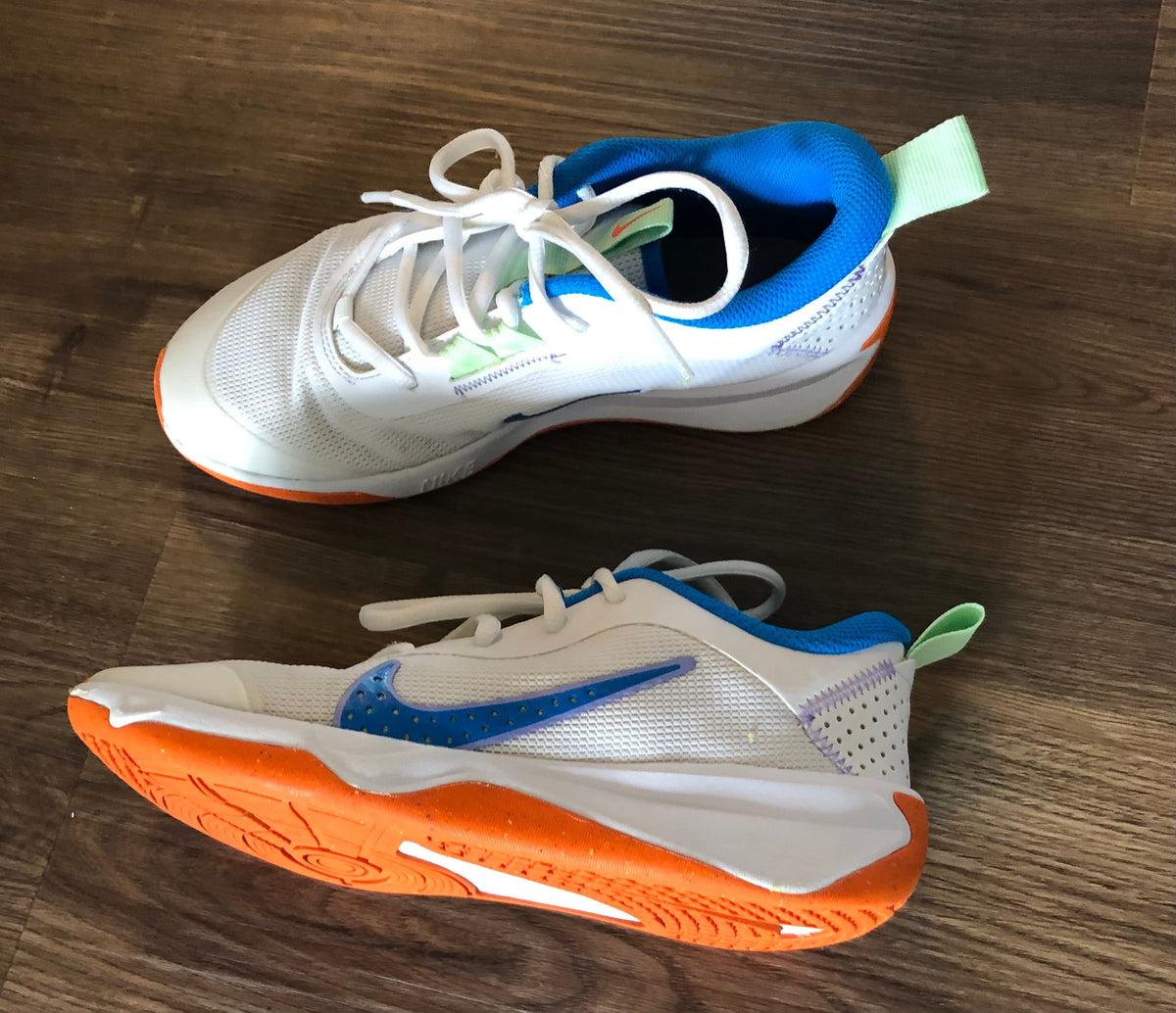 #137 Nike court shoes 3.5Y