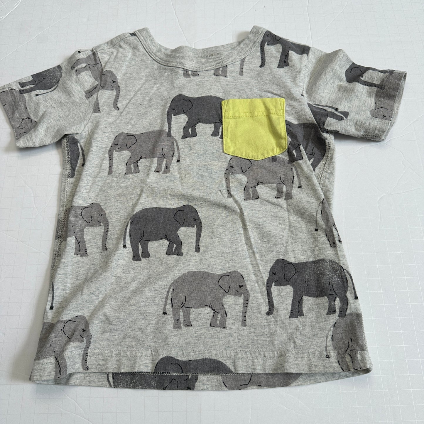 #162 Tea Elephant Shirt 4T