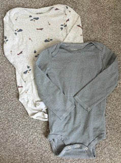 Seller #178 Set of 2 Carter’s Onesies SIze 18mo