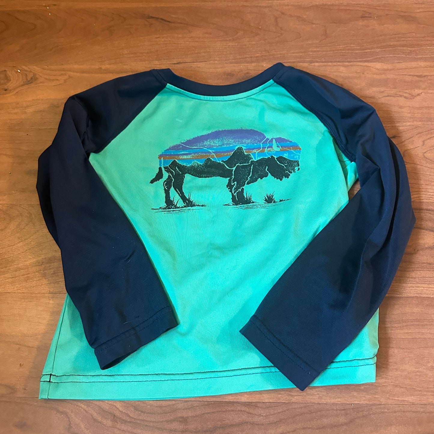 #162 Patagonia Rash guard 4t