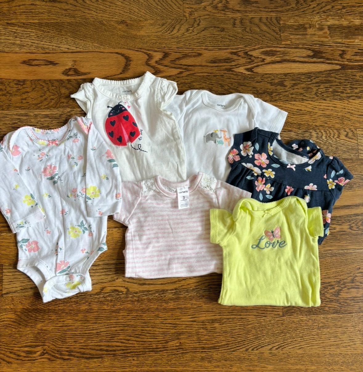 Seller #195 - *REDUCED* Bundle of 6 Baby Girls Carters Onesies - Size 3 Months