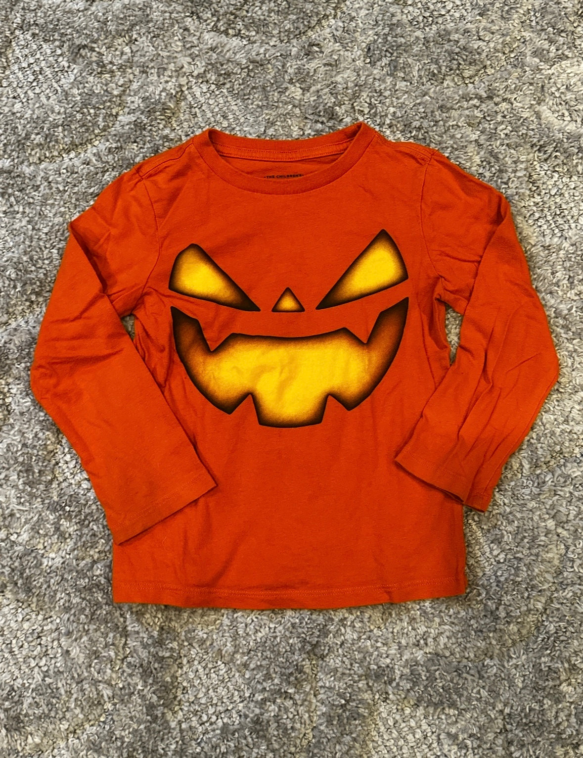 #16 - Children's Place Long Sleeve - 4T