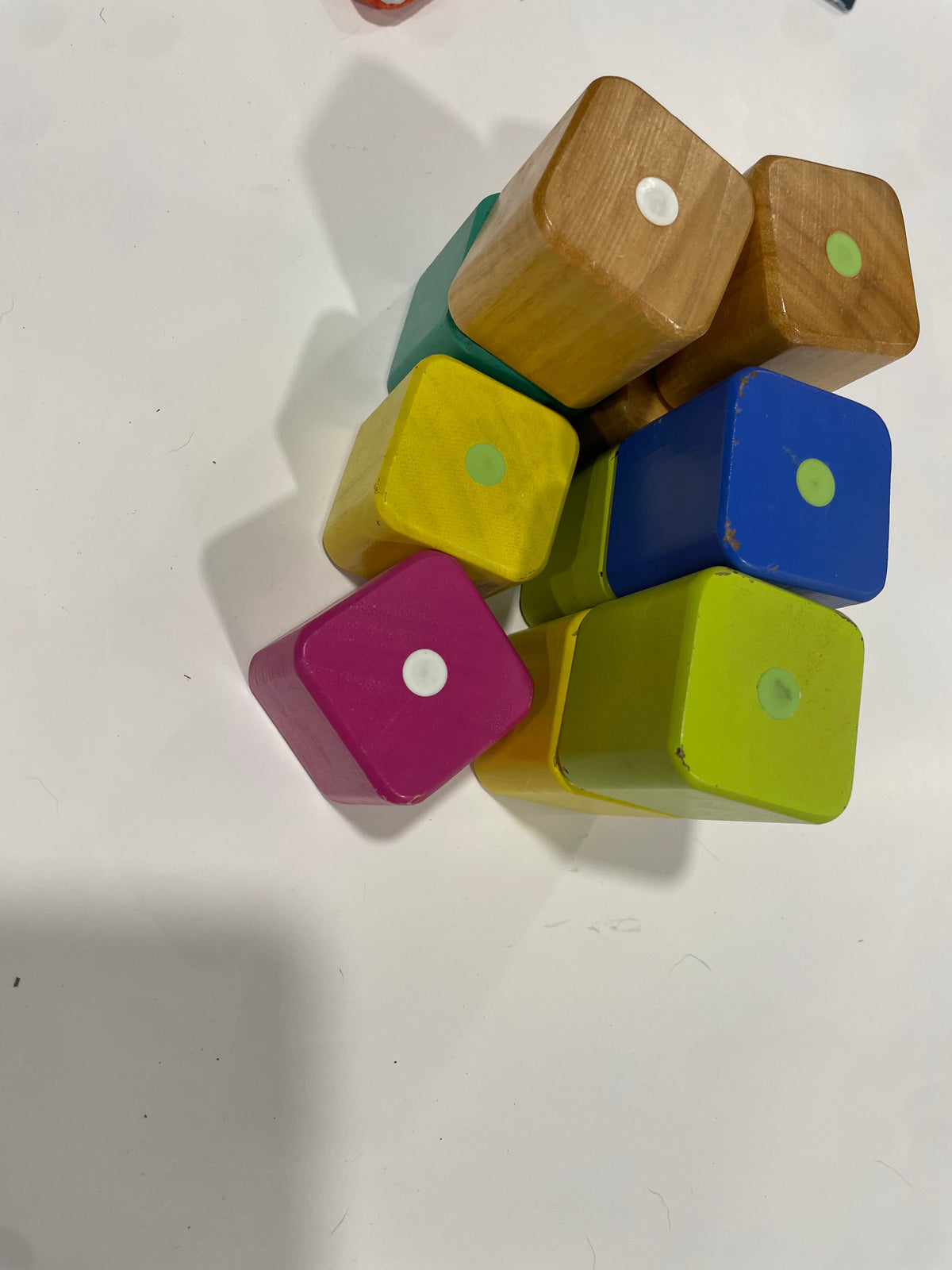 #83 Tegu First Blocks