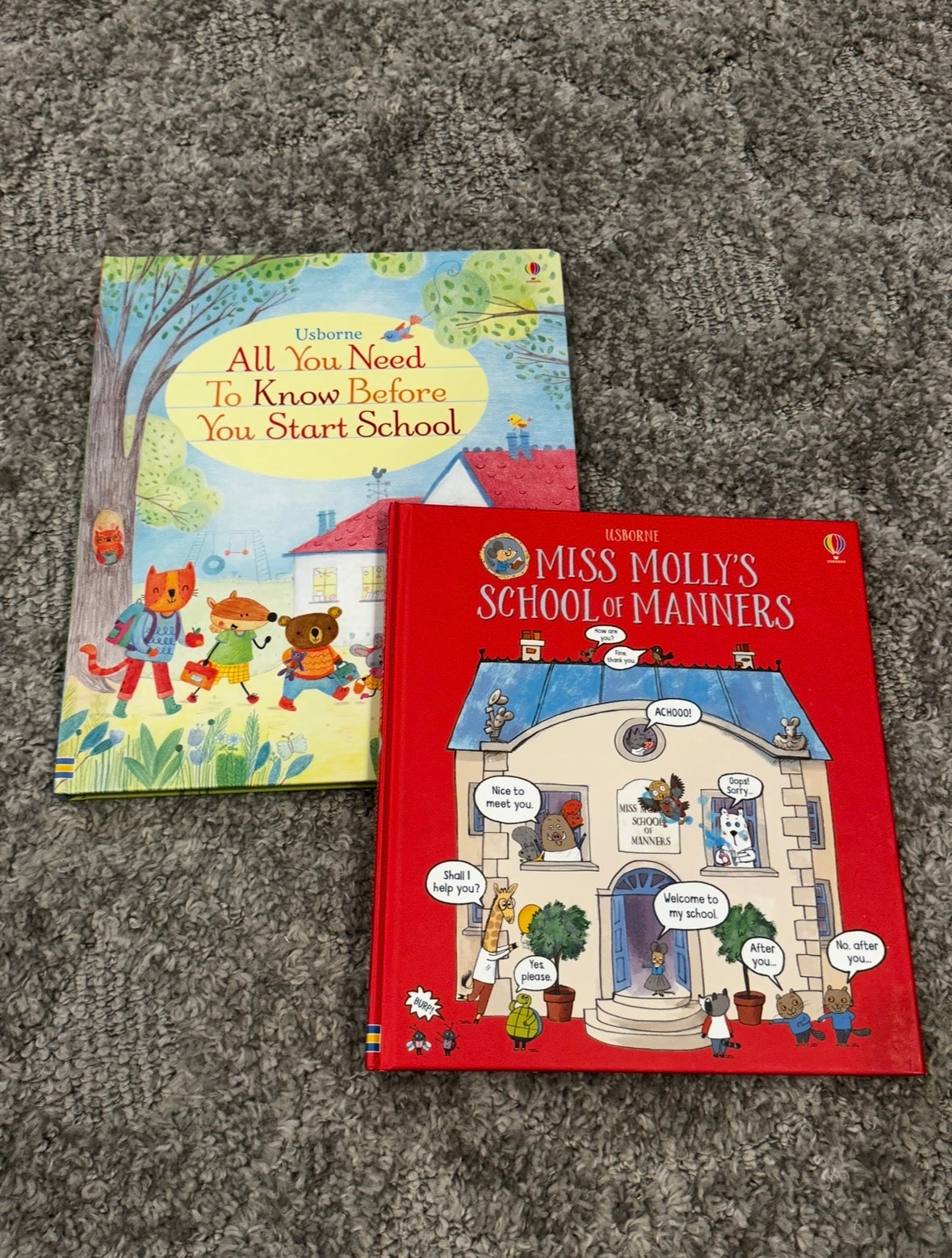 #16 - Usborne/PaperPie Books