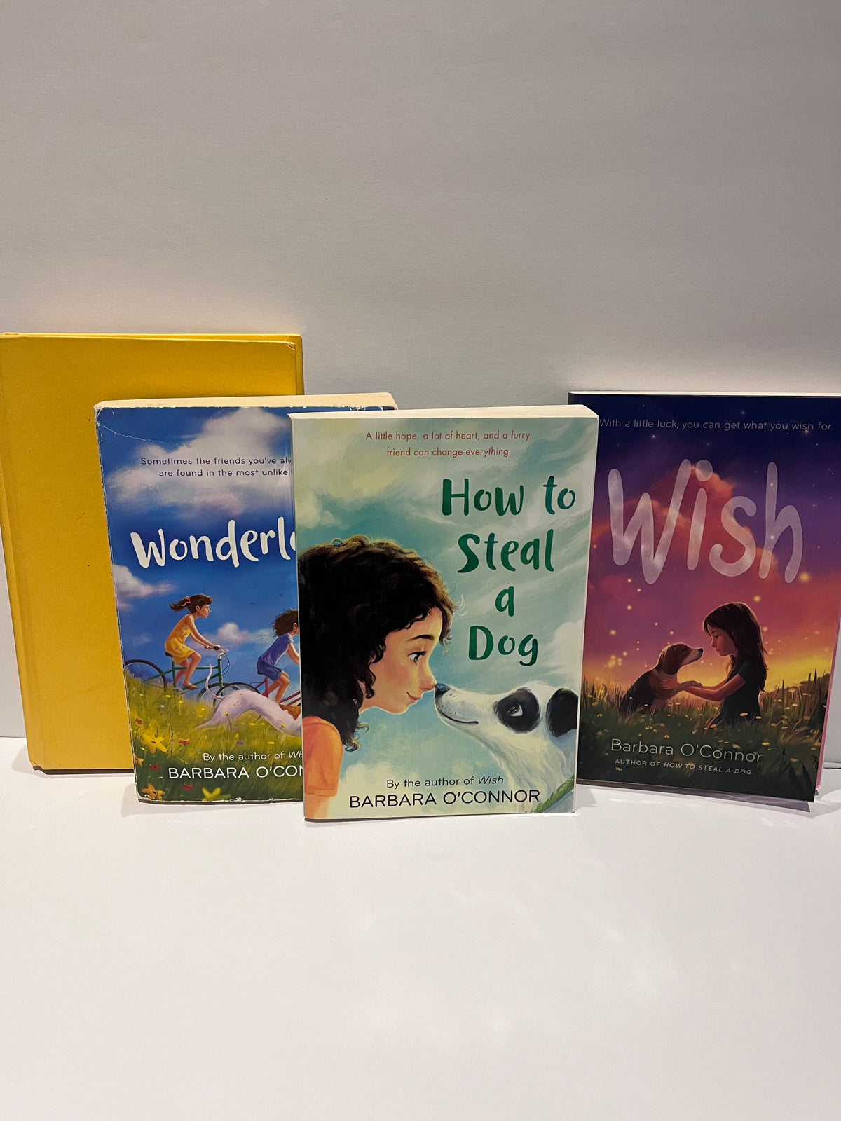 #125 Barbara O’Connor chapter book bundle (ages 8-12)