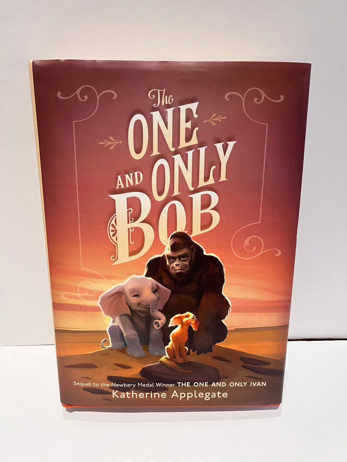 #125 The One and Only Bob hardcover book (ages 8-12)
