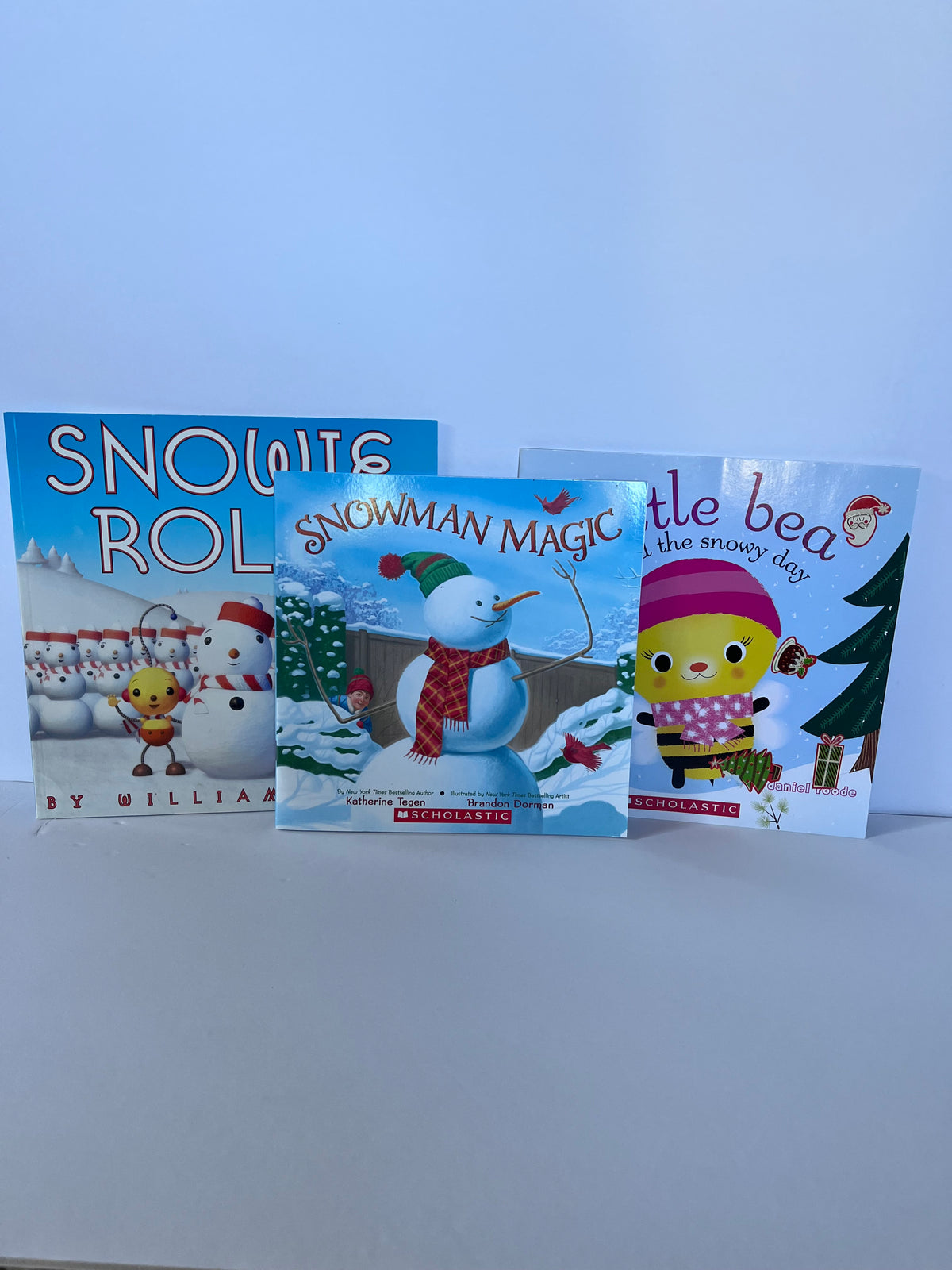 #125 Winter themed book bundle
