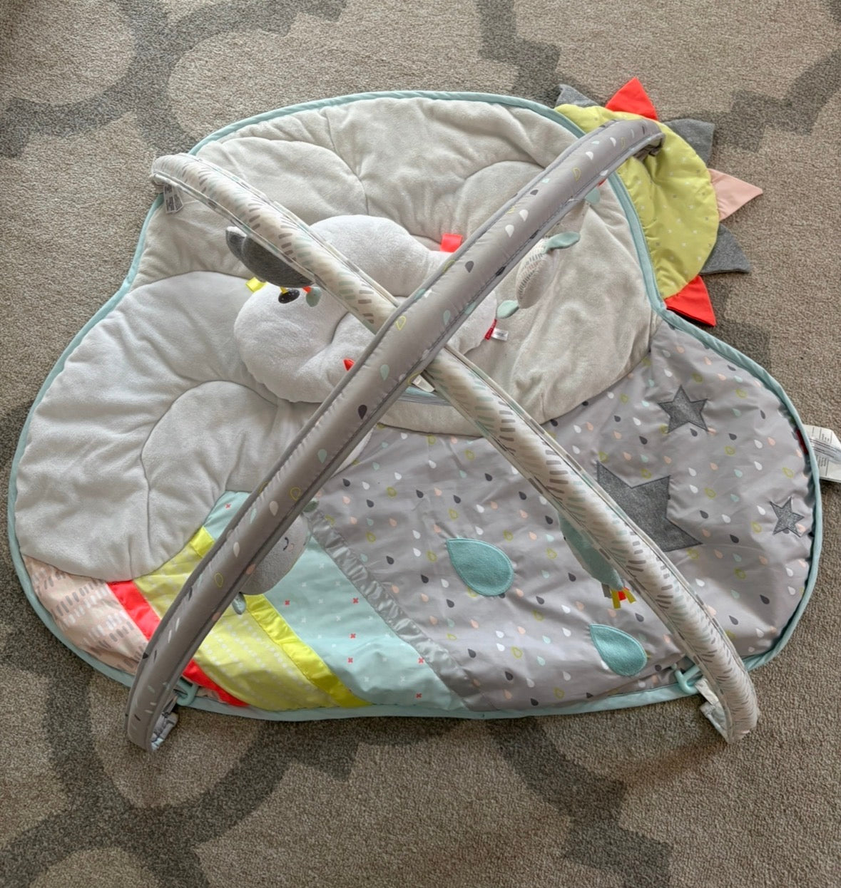 Seller #196 Skip Hop Baby Activity Play Gym
