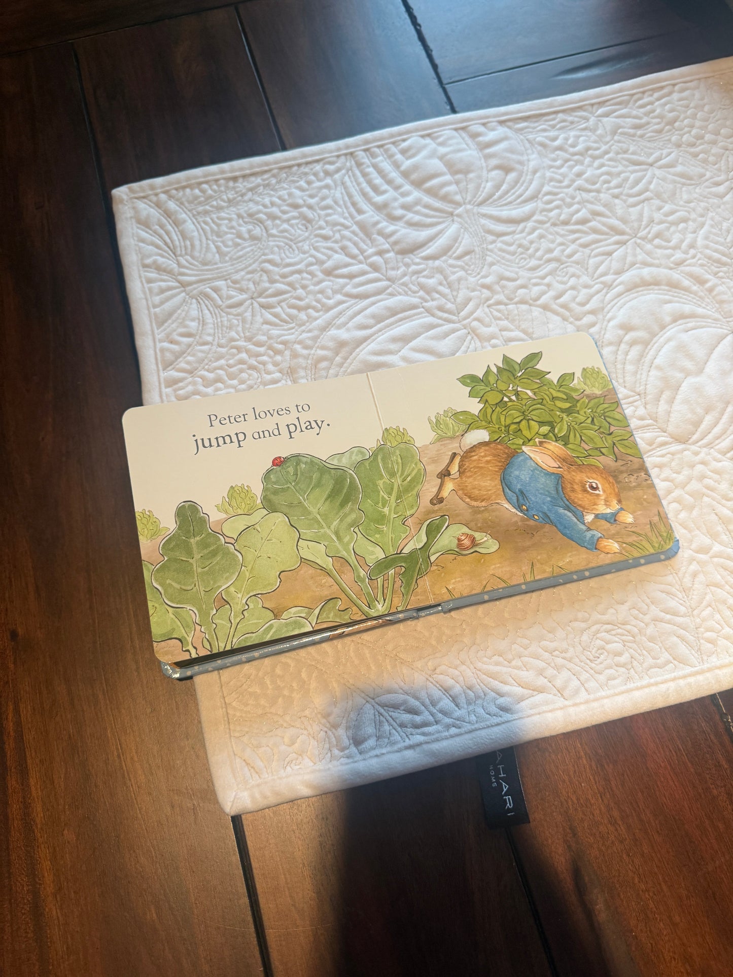#51 Classic Hello Peter Rabbit Board Book