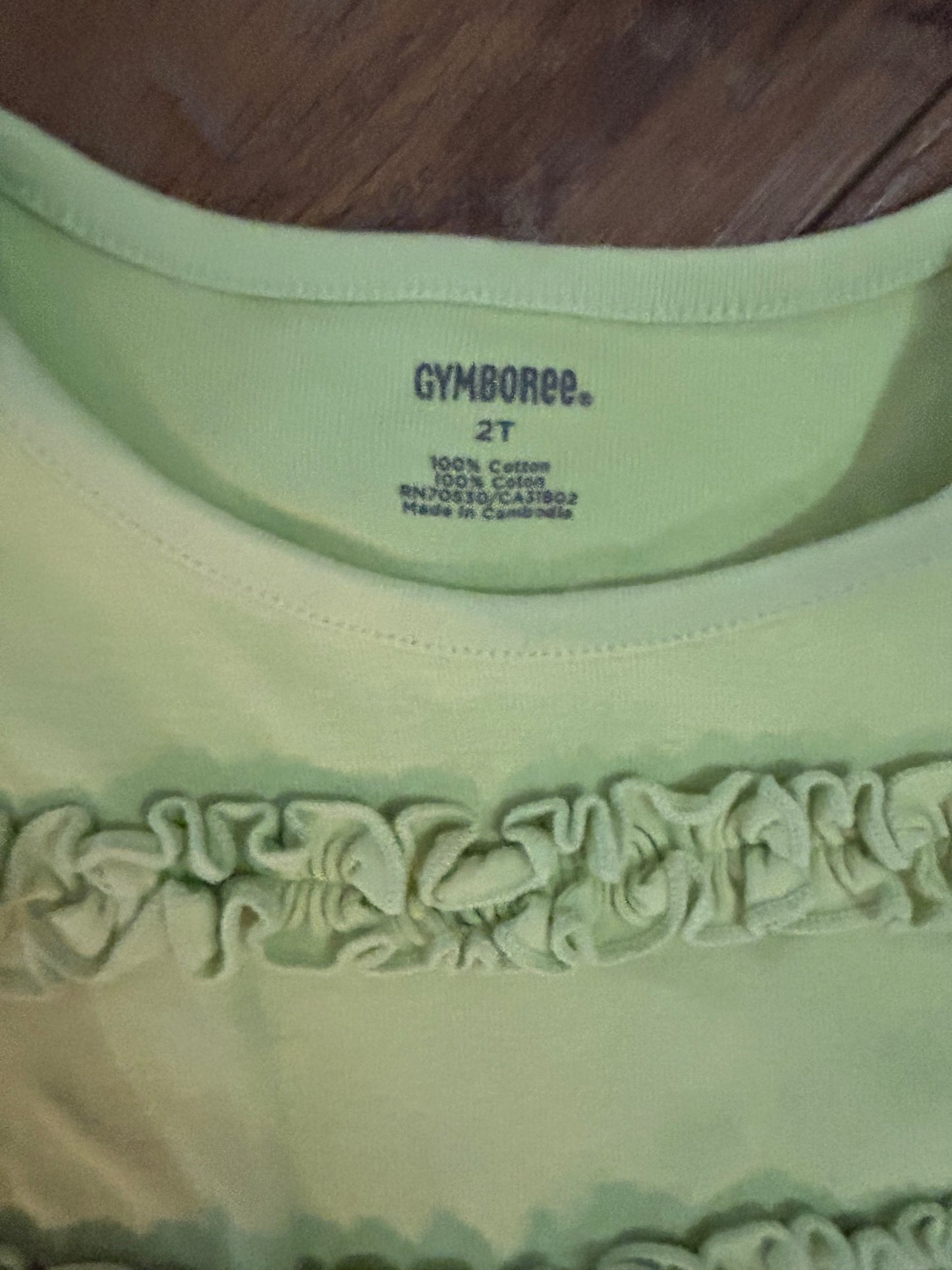 Seller #223 - Girls 2T outfit