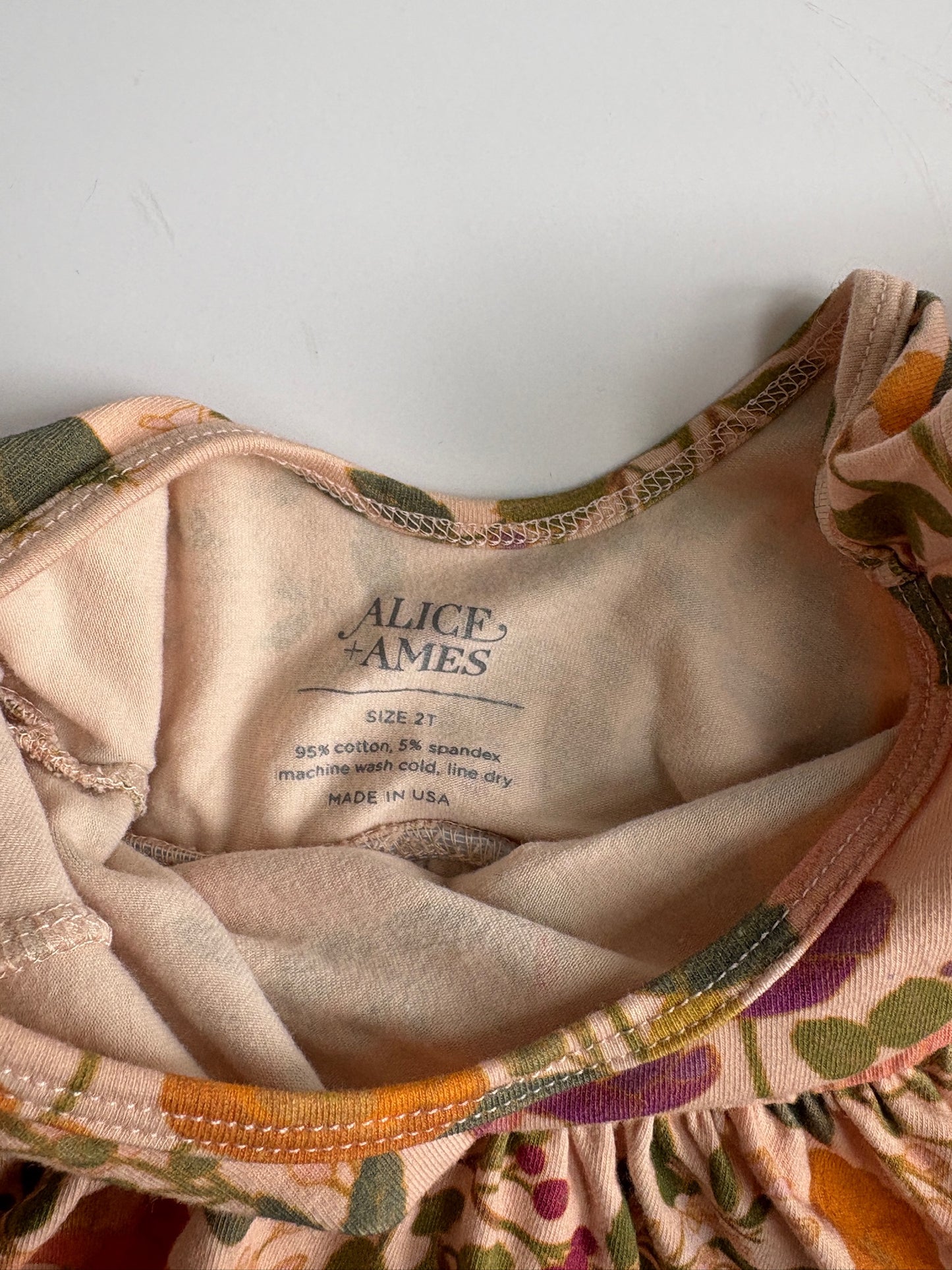 Seller #105 - 2T Girls Alice and Ames Light Botanical Floral Dress VGUC