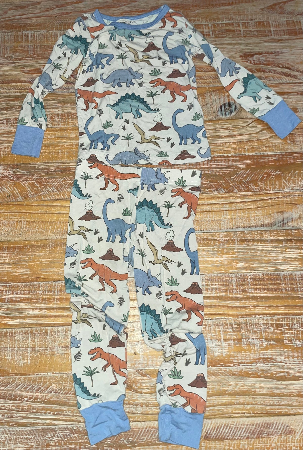 #4 Caden Lane two piece bamboo dinosaur pajama set boys 18-24 months
