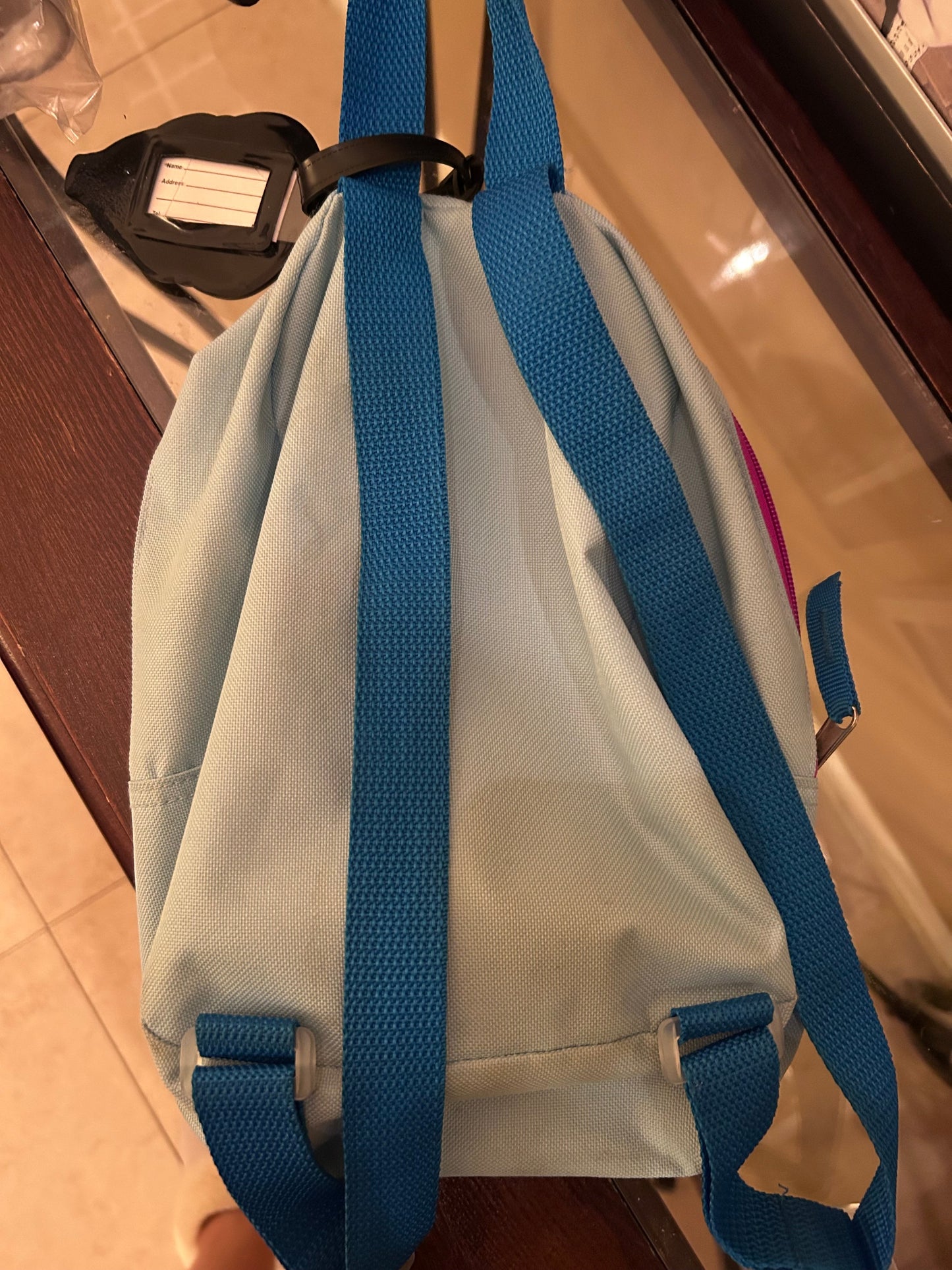 Seller #7 Frozen backpack