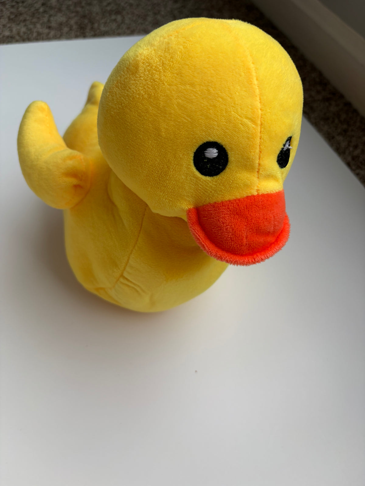 Seller #177 Duck with 5 baby ducks