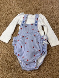 #47 girls 9mo carters outfit