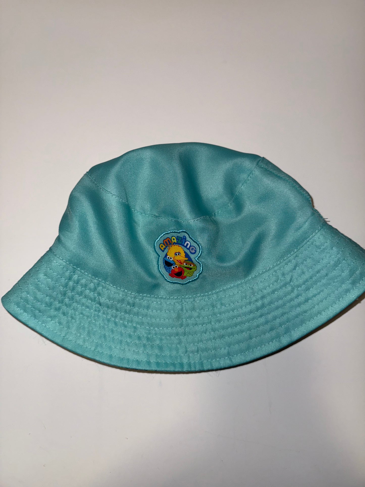 #106: Sesame Street Reversible Bucket Hat
