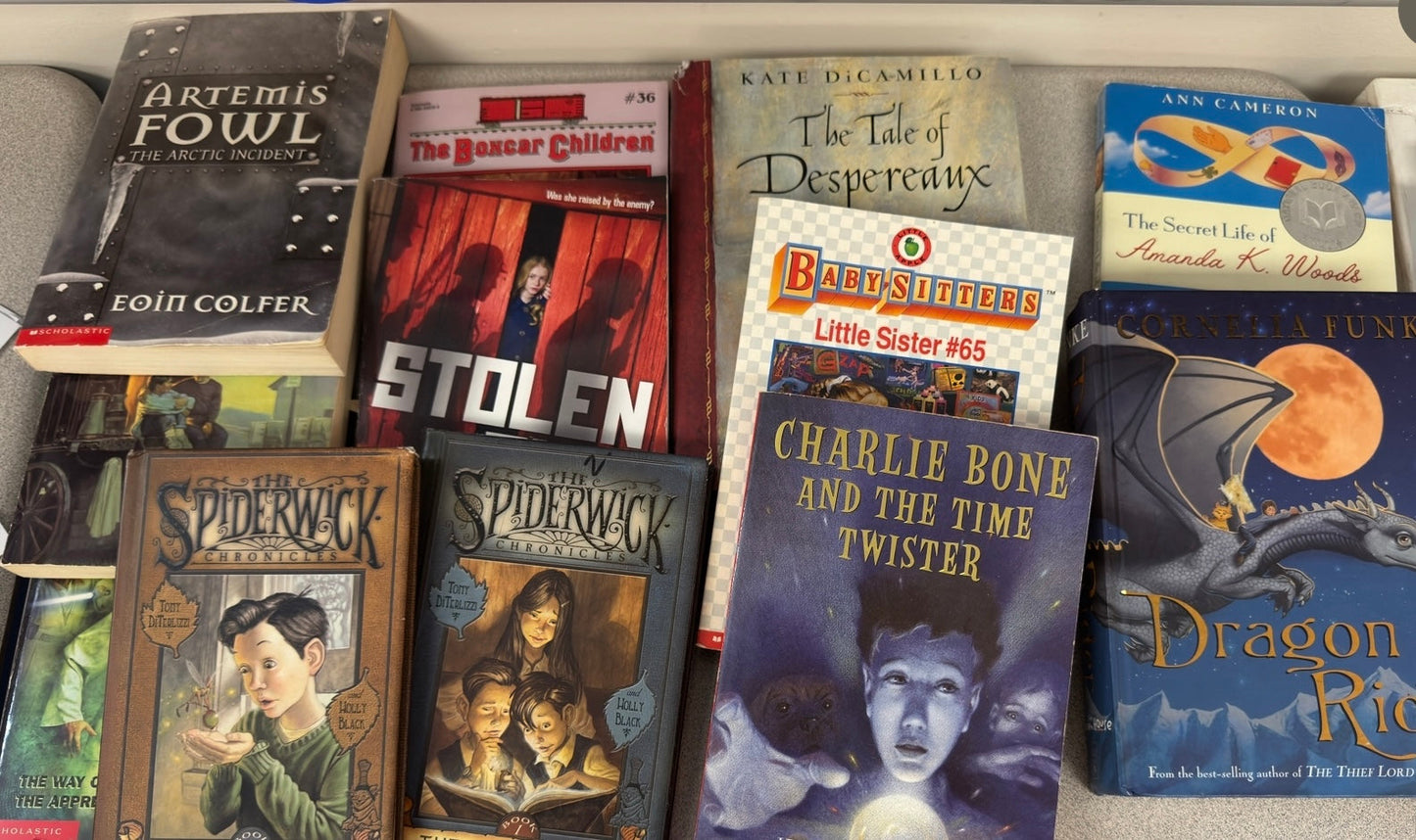 #74 chapter book bundle 3