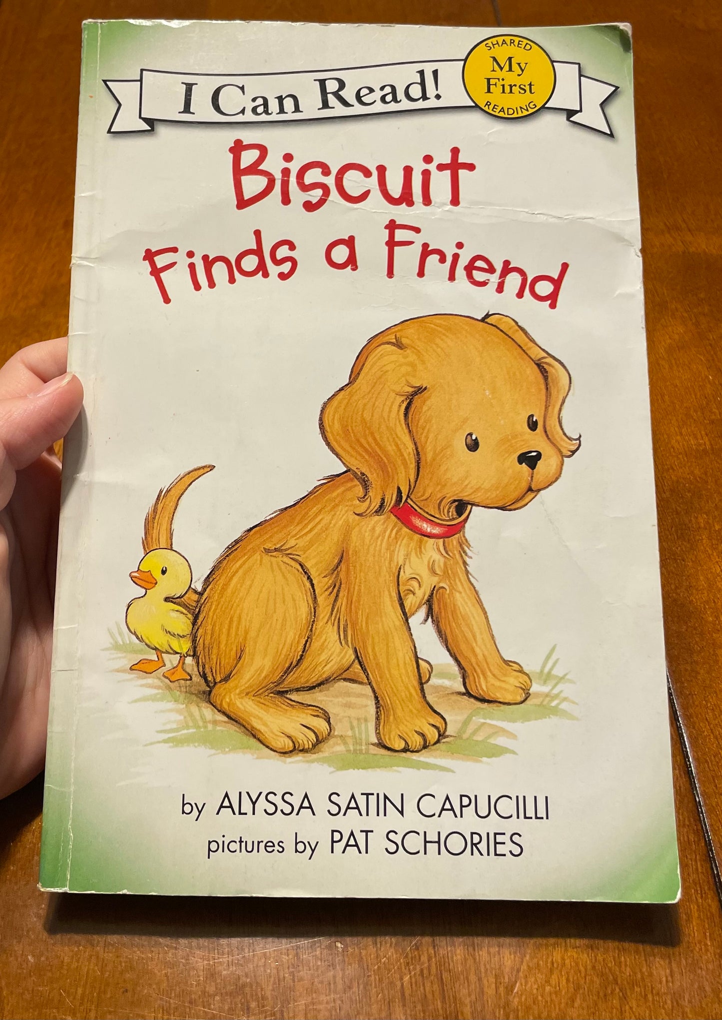 #3 Biscuit finds a friends - kids book