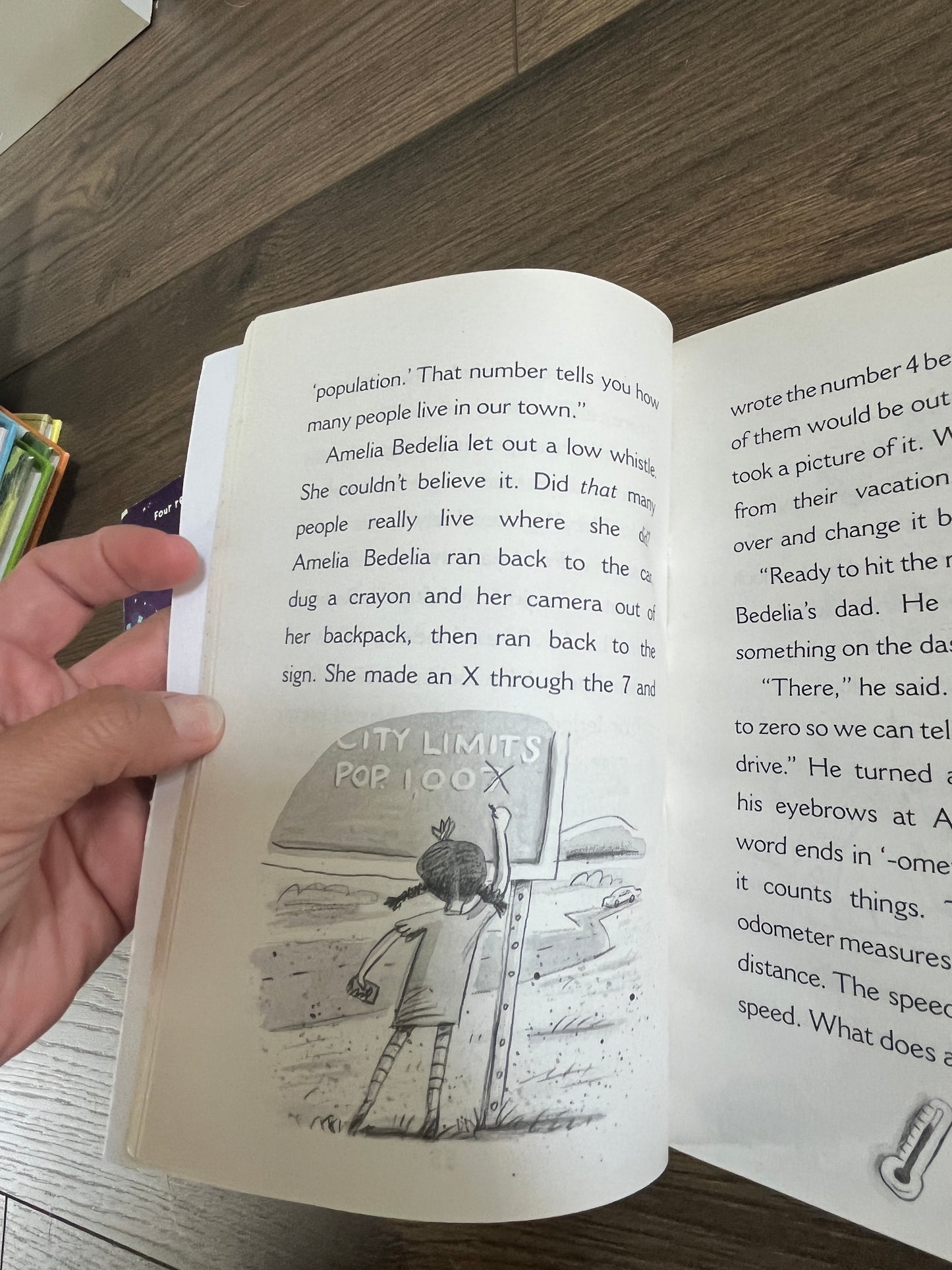 137 Amelia Bedelia and the never girls chapter books