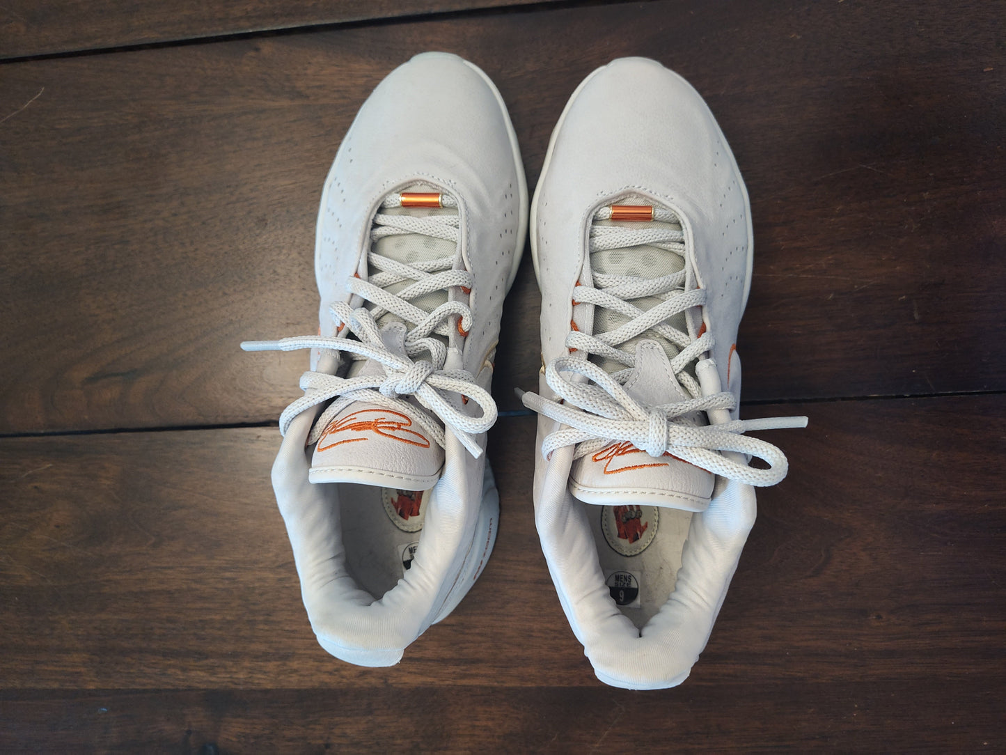 Seller 185: Men's Shoes Nike LeBron xx1 akoya Sz 9