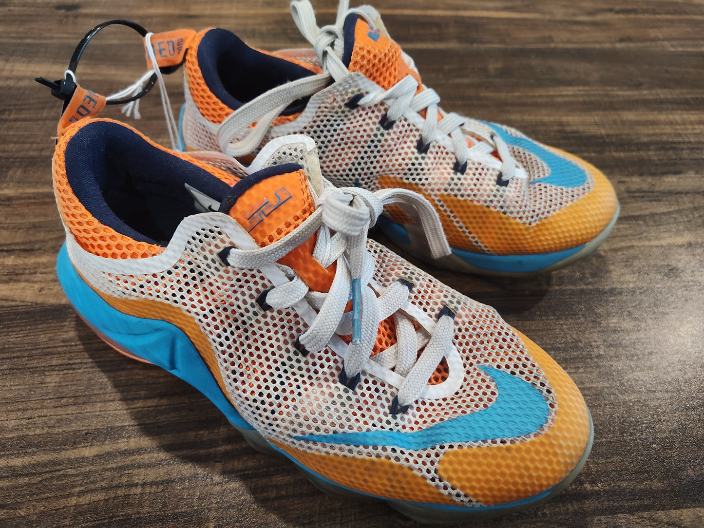Seller 185: Nike Lebrons Boys size 5.5 youth