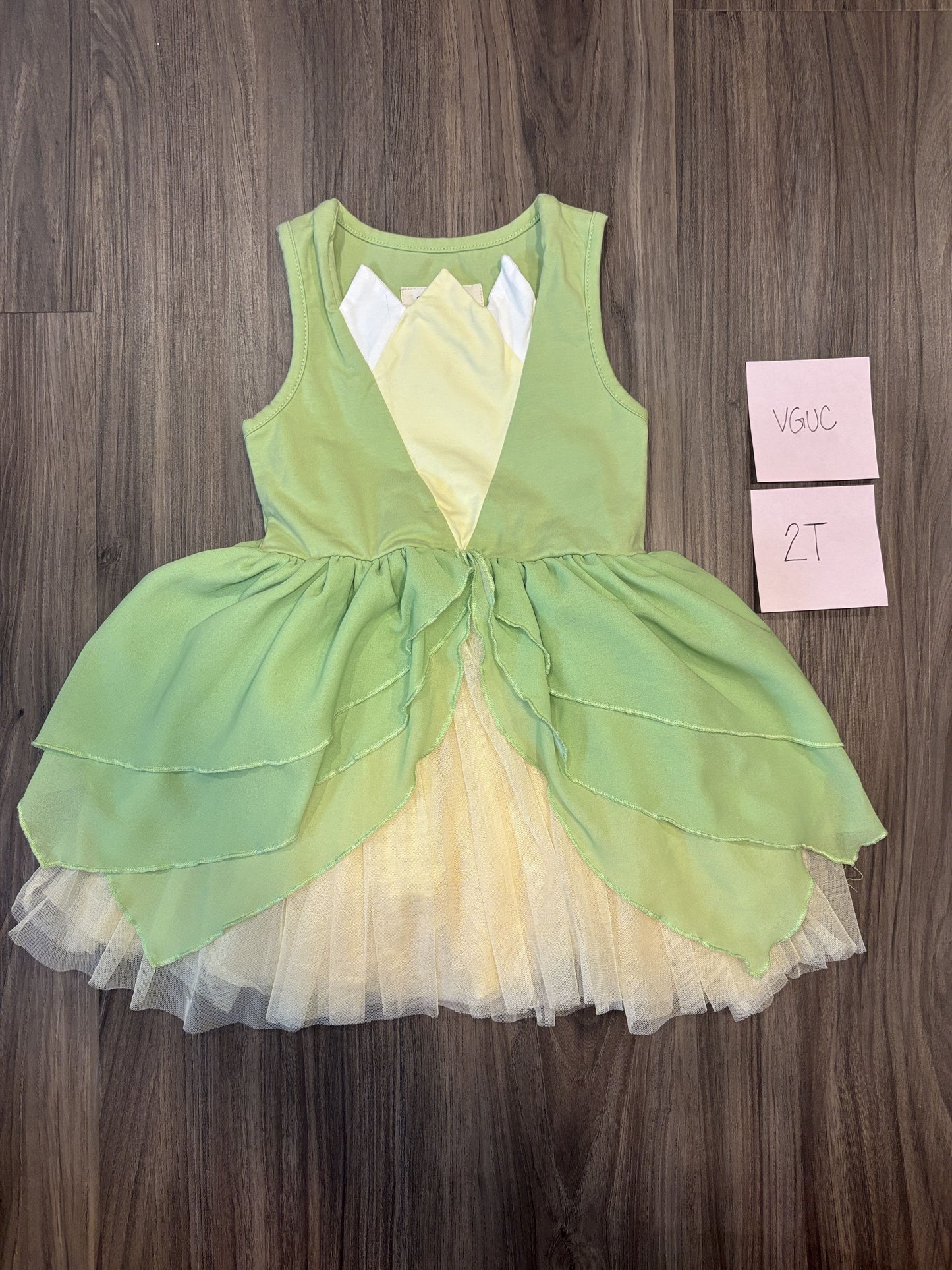 #77 - 2T - VGUC Taylor Joelle - Tiana Inspired Dress