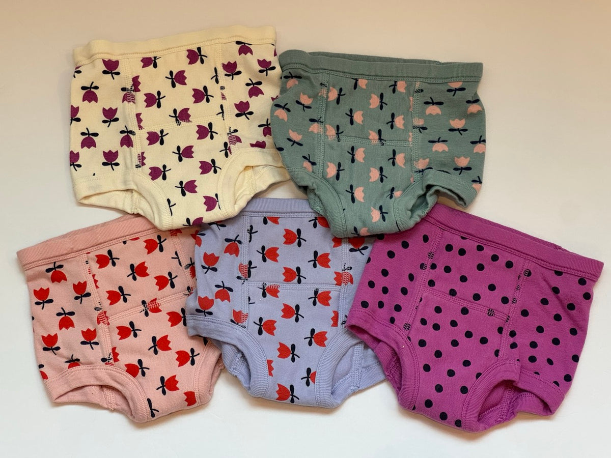 #82 Hanna Andersson Organic Training Underwear Size XS/80cm/2T fit