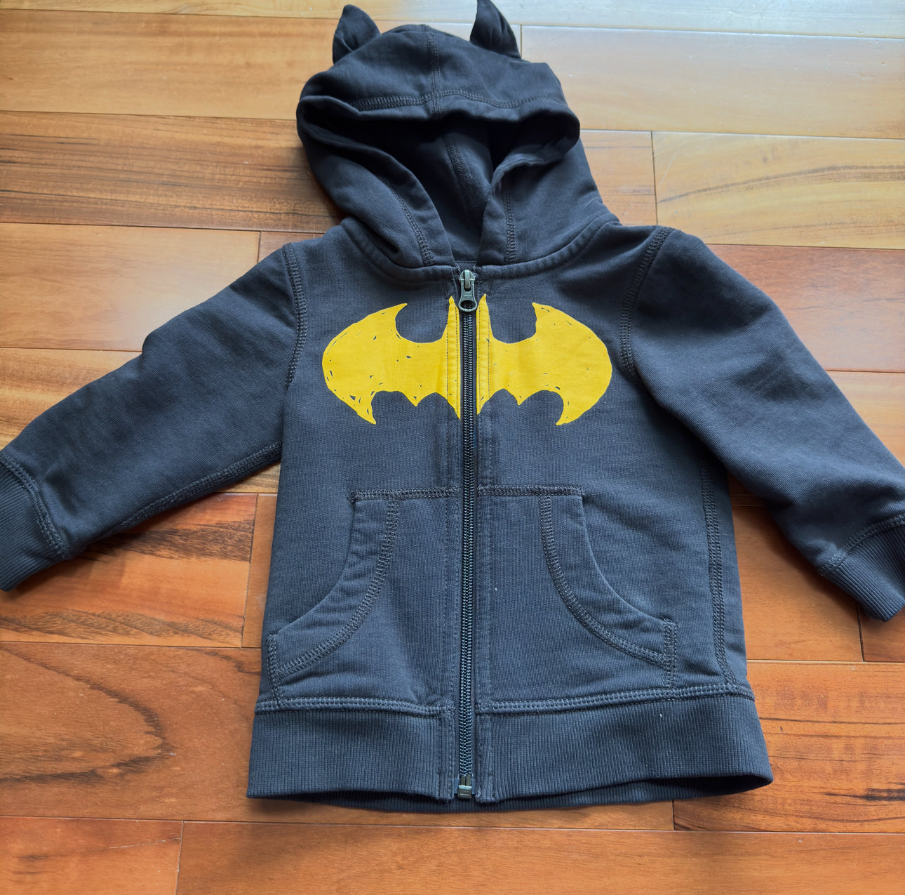 #74 Hanna Batman hoodie 2t