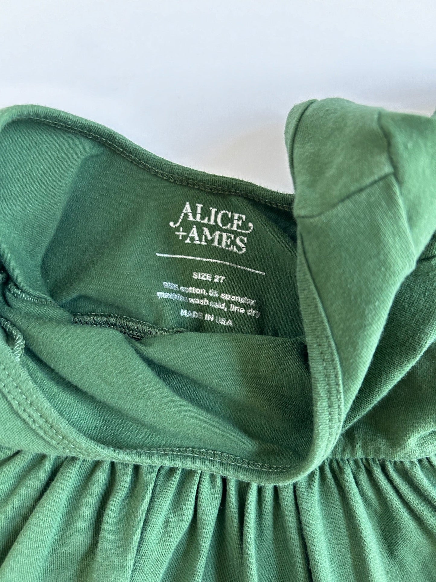 Seller #105 - 2T Girls Green Alice and Ames Dress GUC to VGUC