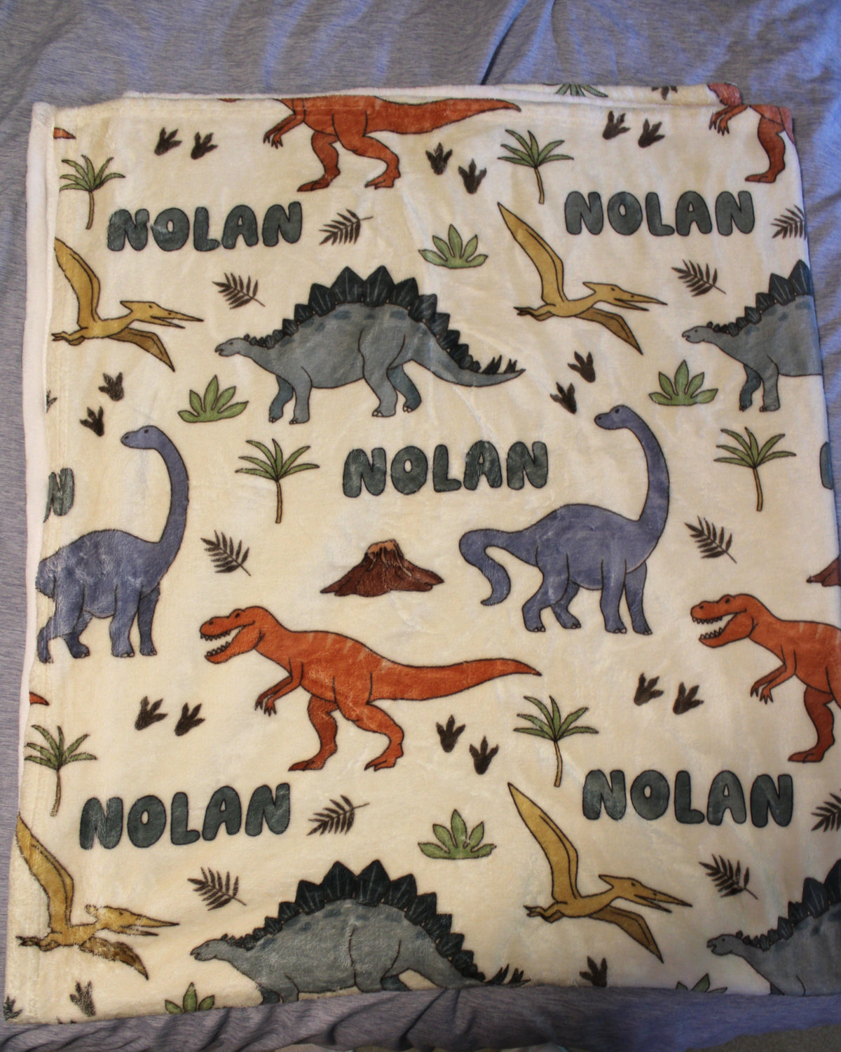 #168 Caden Lane dino blanket - Nolan - NWOT