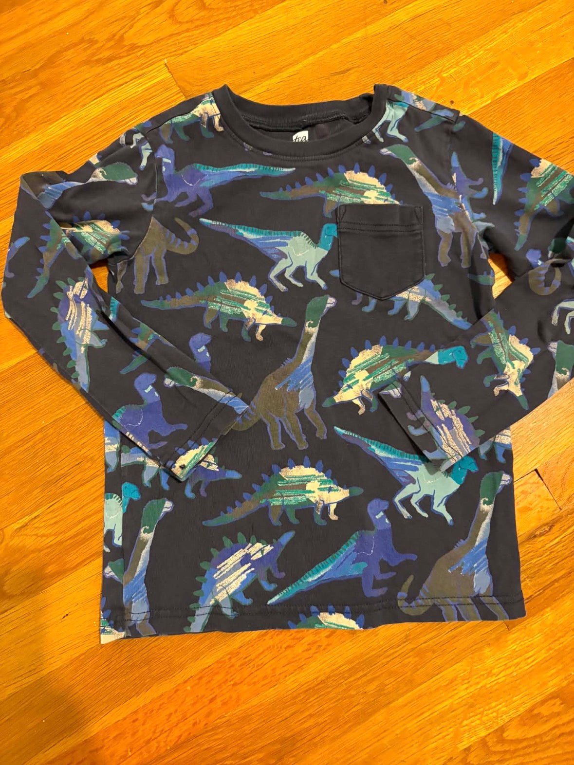 #116 Boys tea long sleeve dino shirt size 6