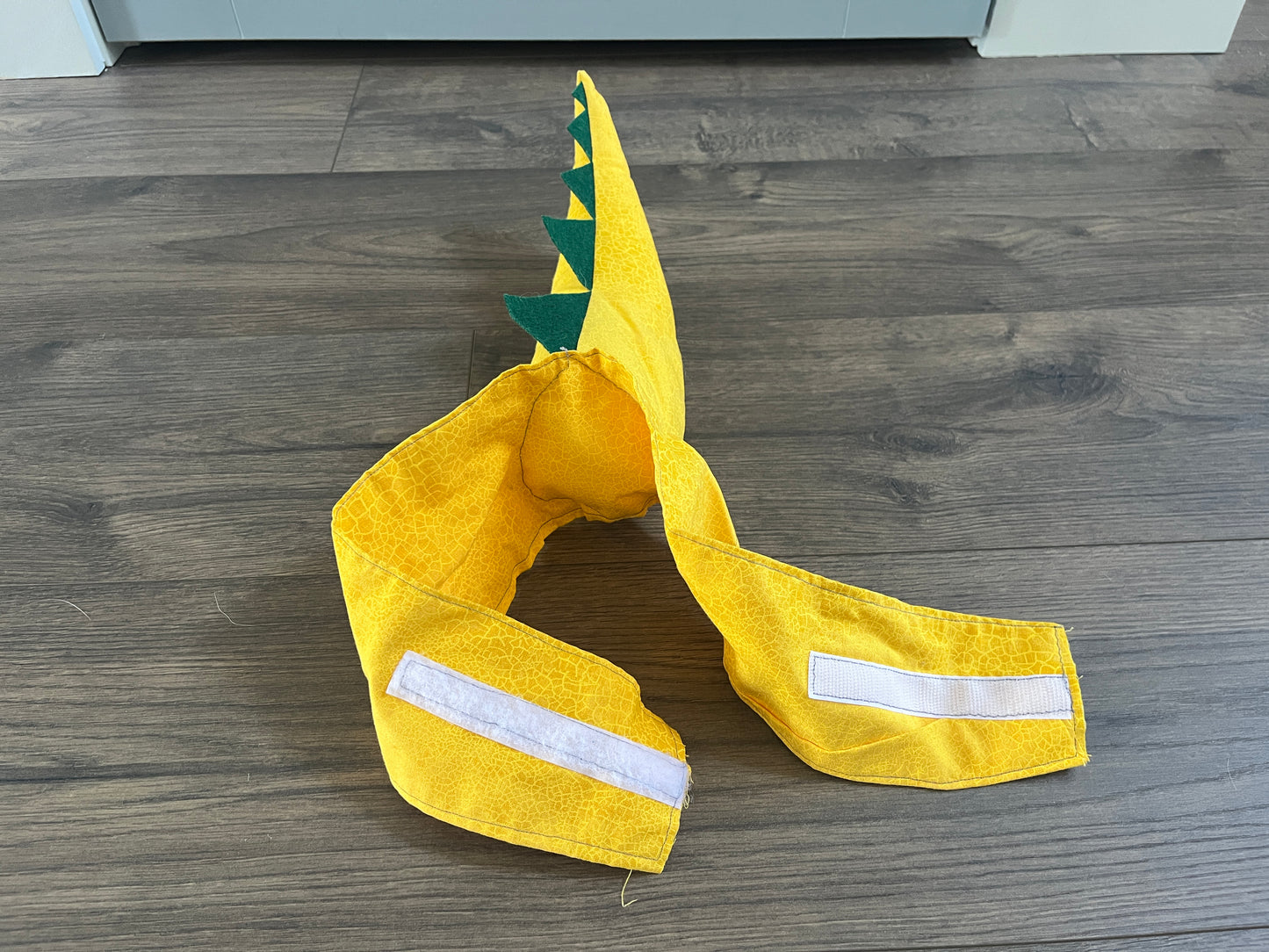 137 Dinosaur tail