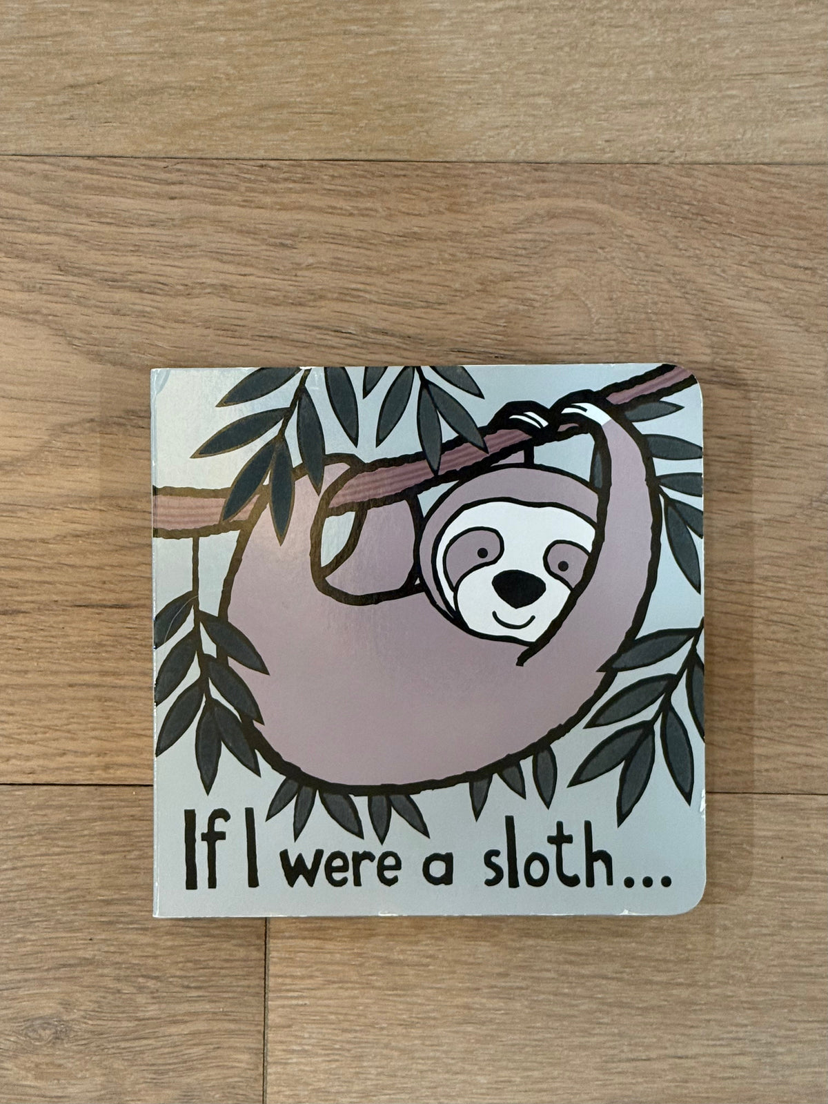 #21 • If I were a sloth...