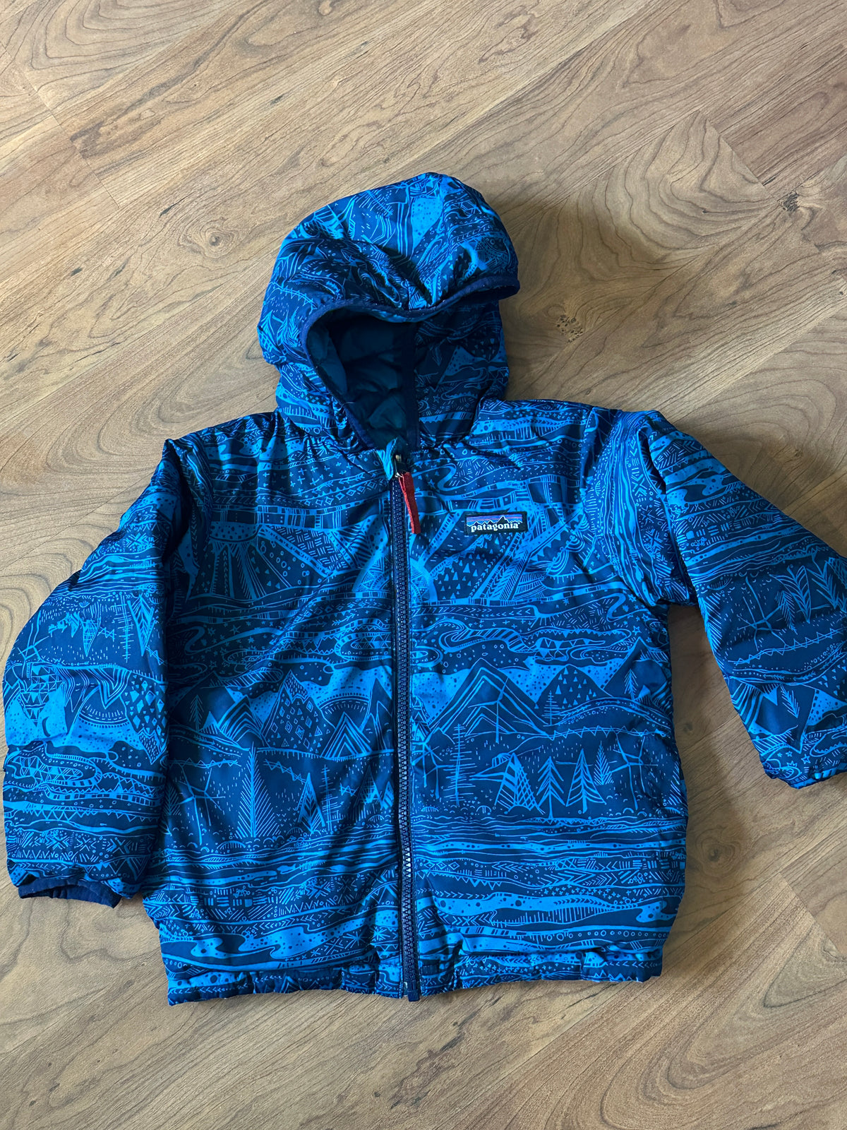 #48 Patagonia Blue Reversible Jacket 4T