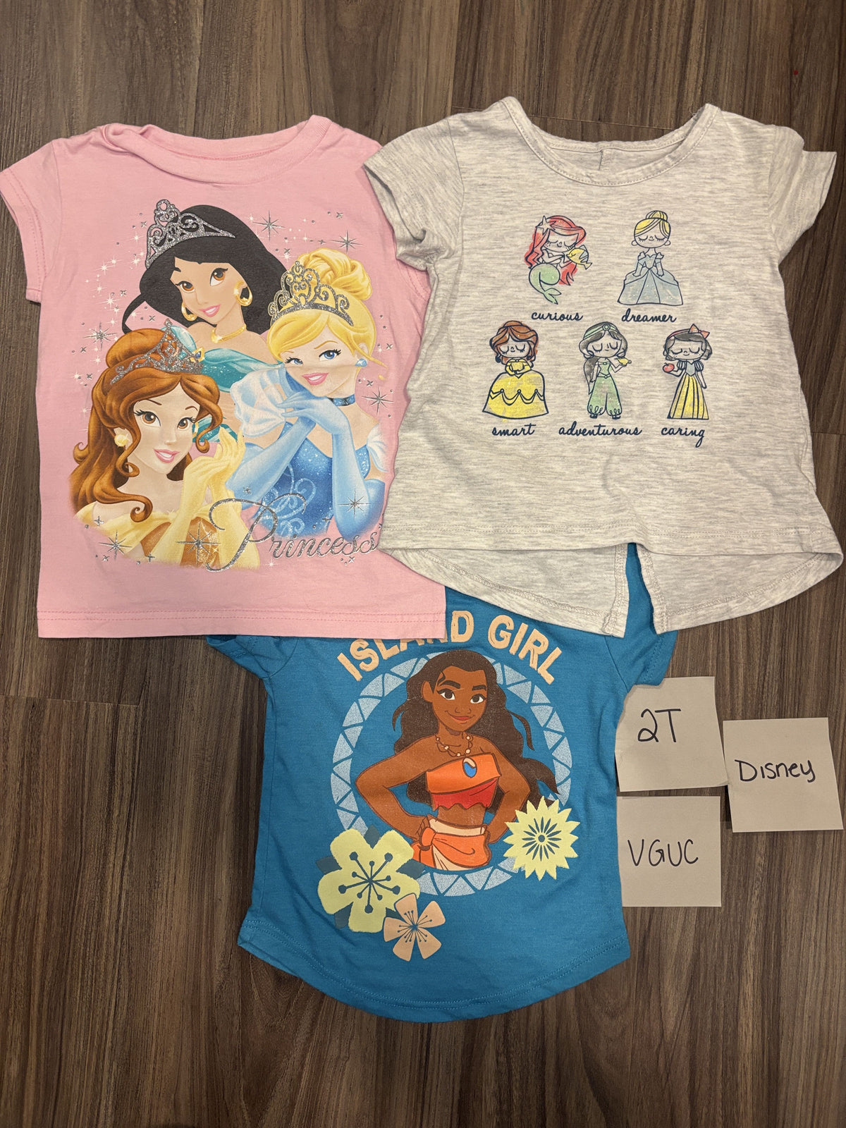 #138 - 2T Disney VGUC (3) Tshirts (Princess + Moana + Grey Multi Princesses)