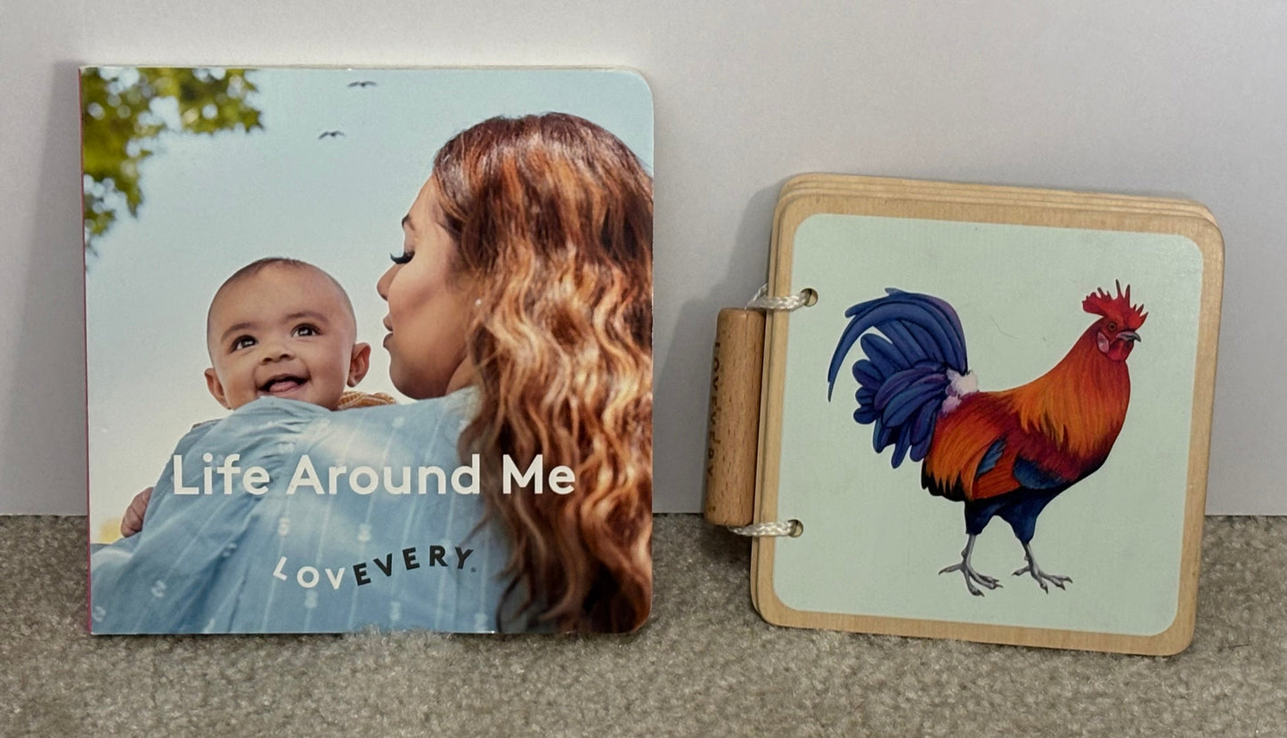 #132 - REDUCED - Complete Lovevery: 3-4M “The Charmer” Play Kit + Book Bundle - SEE ADDITIONAL PHOTOS FOR ALL ITEMS INCLUDED