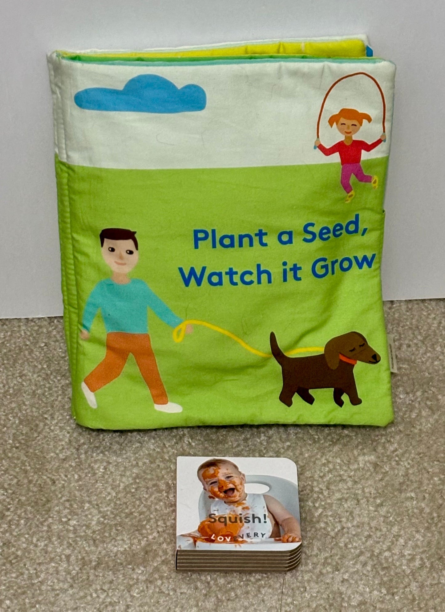 #132 - Complete Lovevery: 9-10M “The Explorer” Play Kit + Book Bundle