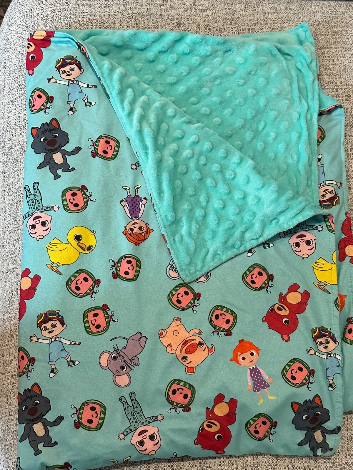 #48 Coco Melon Minky Soft Blanket