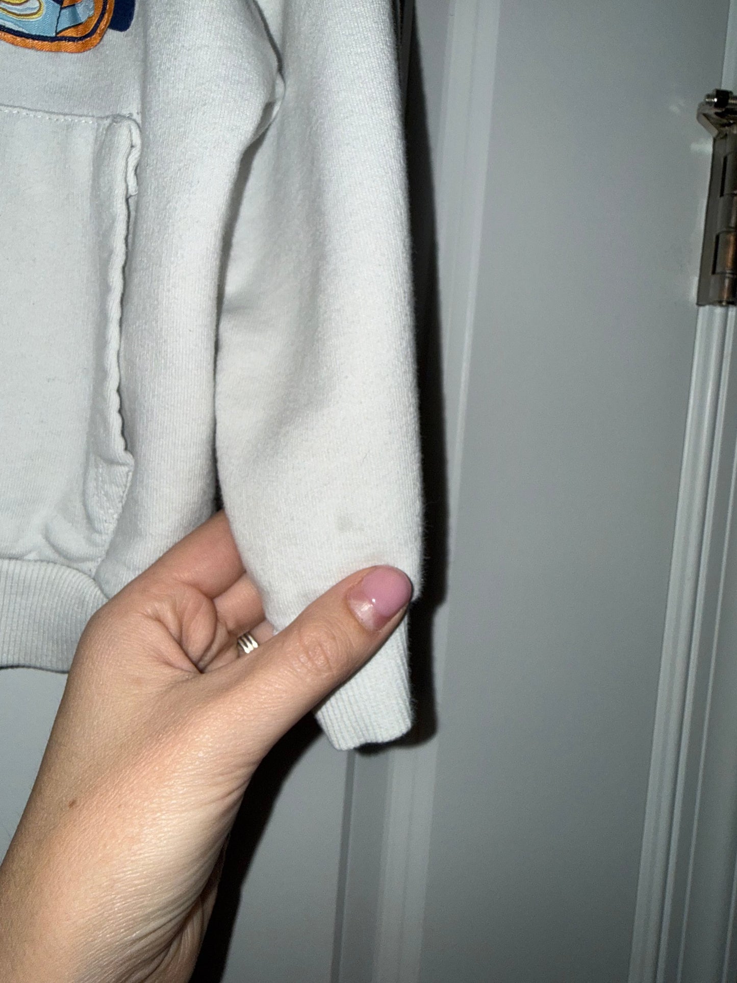 #106: Size 6 (Fits like 4T) Zara Bluey Hoodie GUC