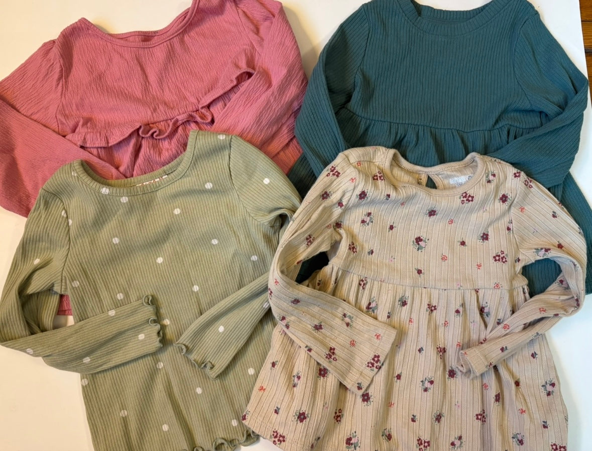 Seller 186 - Girls 3T Longsleeve Shirt Bundle ( Set of4) - VGUC