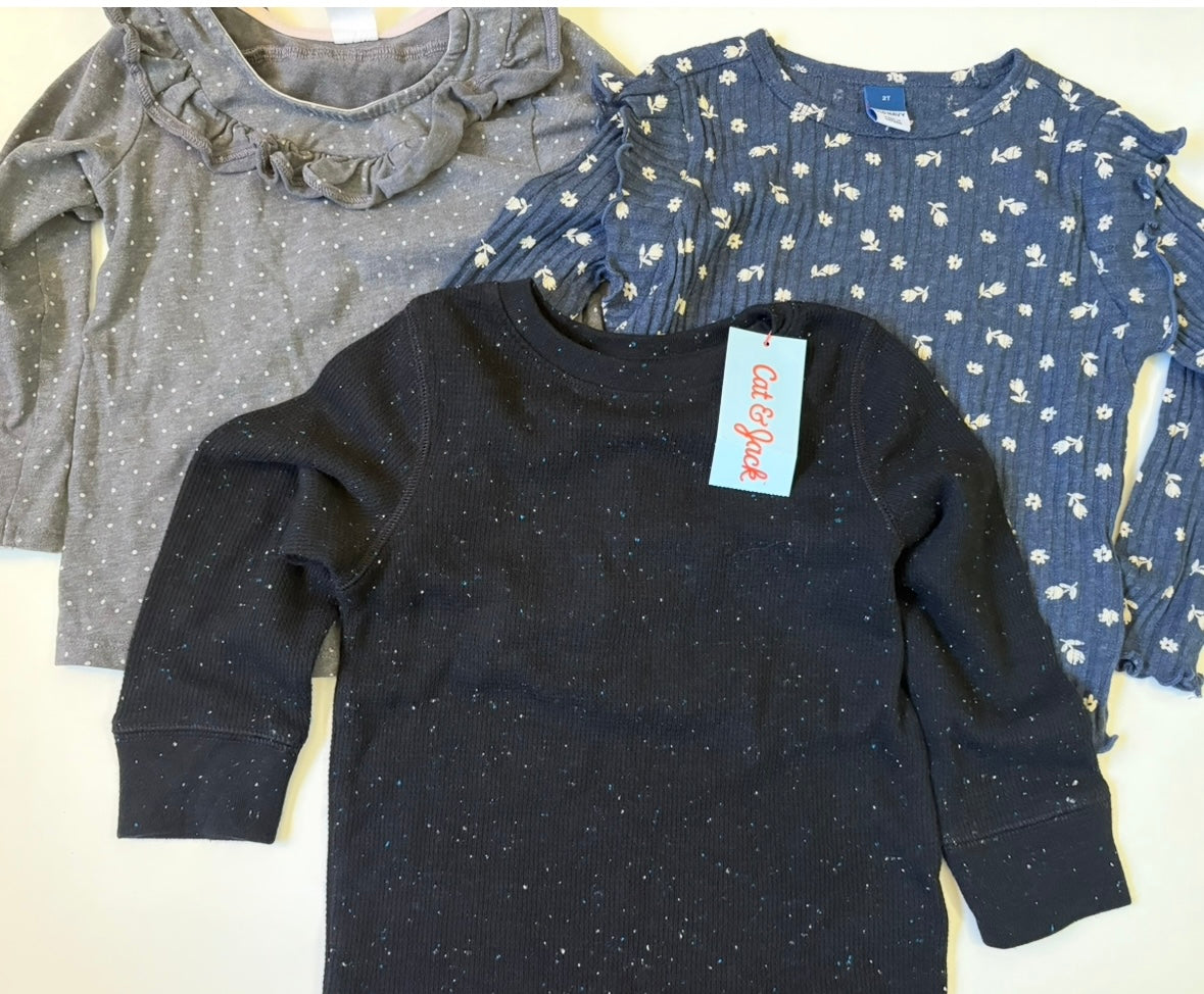 Seller 186 - Girls 2T Shirt Bundle ( Set of 3)