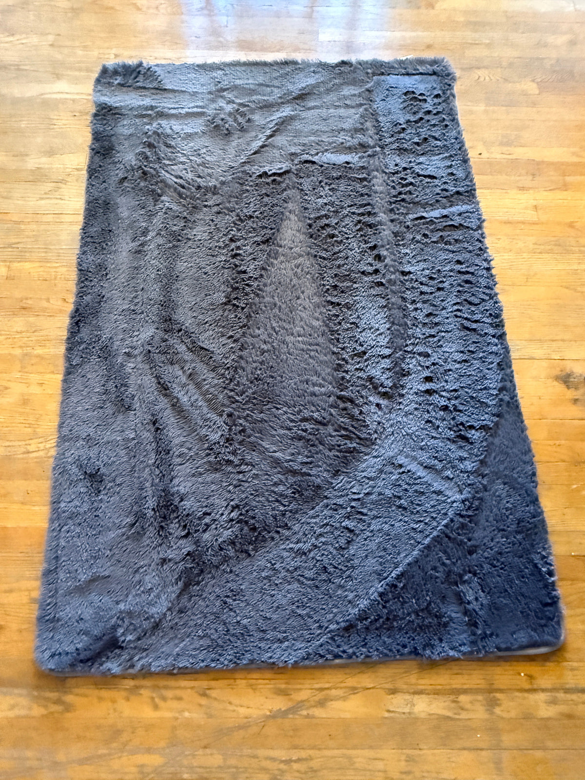Seller #156_Ophanie Gray Fluffy Area Rug 4X6