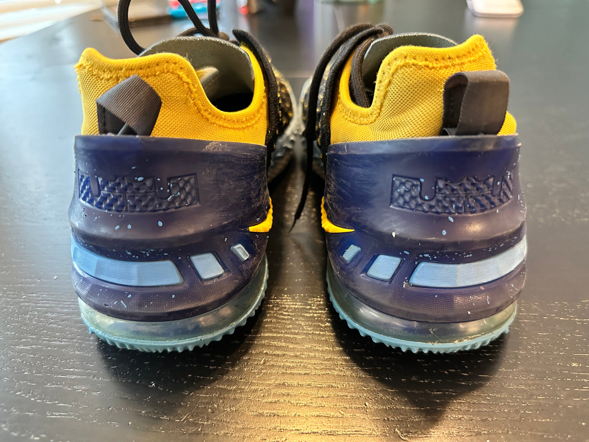 #171 Boy’s Nike Size 5.5 LeBron James Shoes