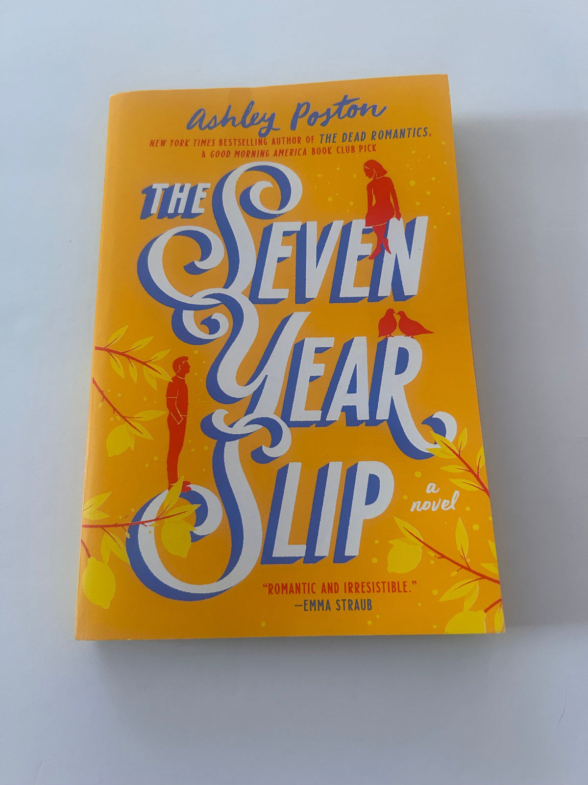 #56 “The Seven Year Slip” adult fiction book
