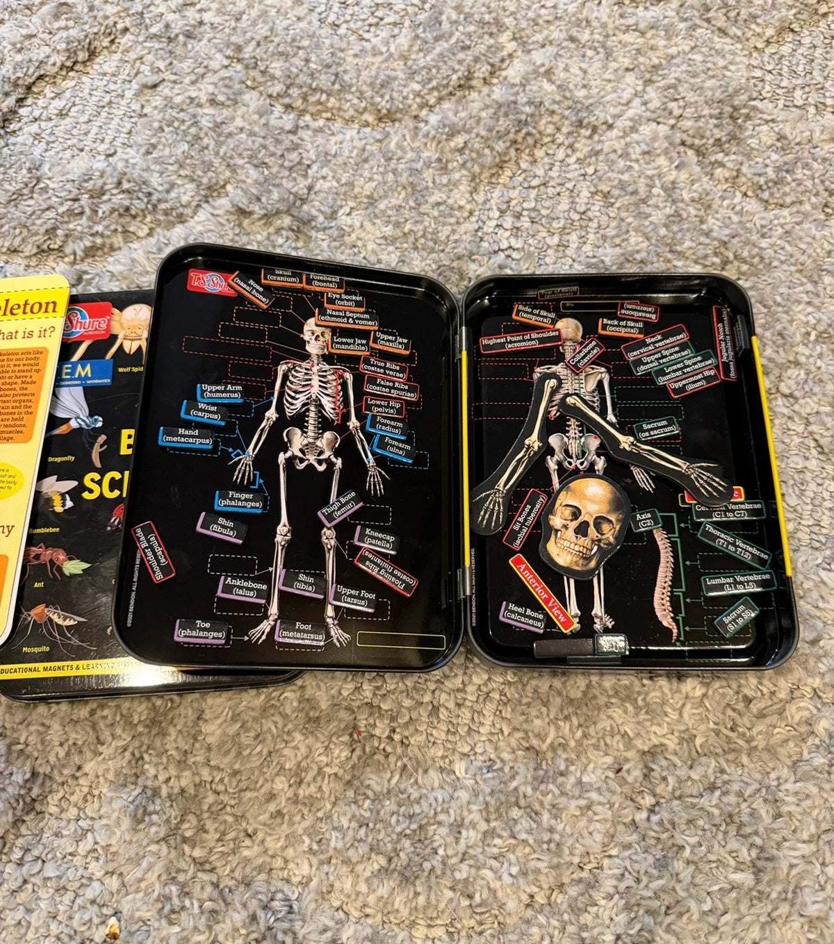 16 - Magnetic Learning Toys