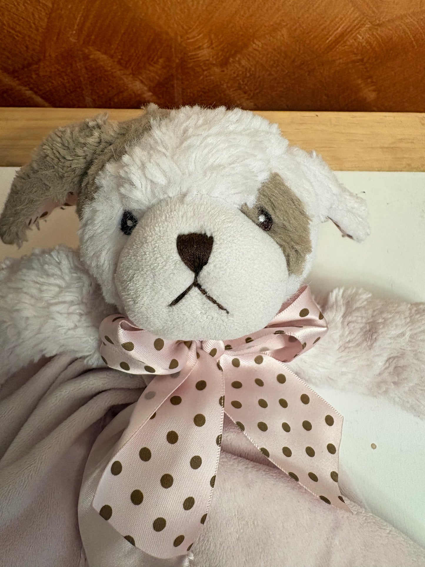 #35 REDUCED Puppy Lovie with hairbow and soft burp clothes