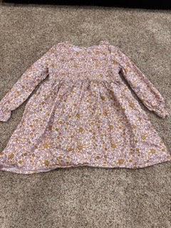 #47, girls 5T cat and jack fall dress
