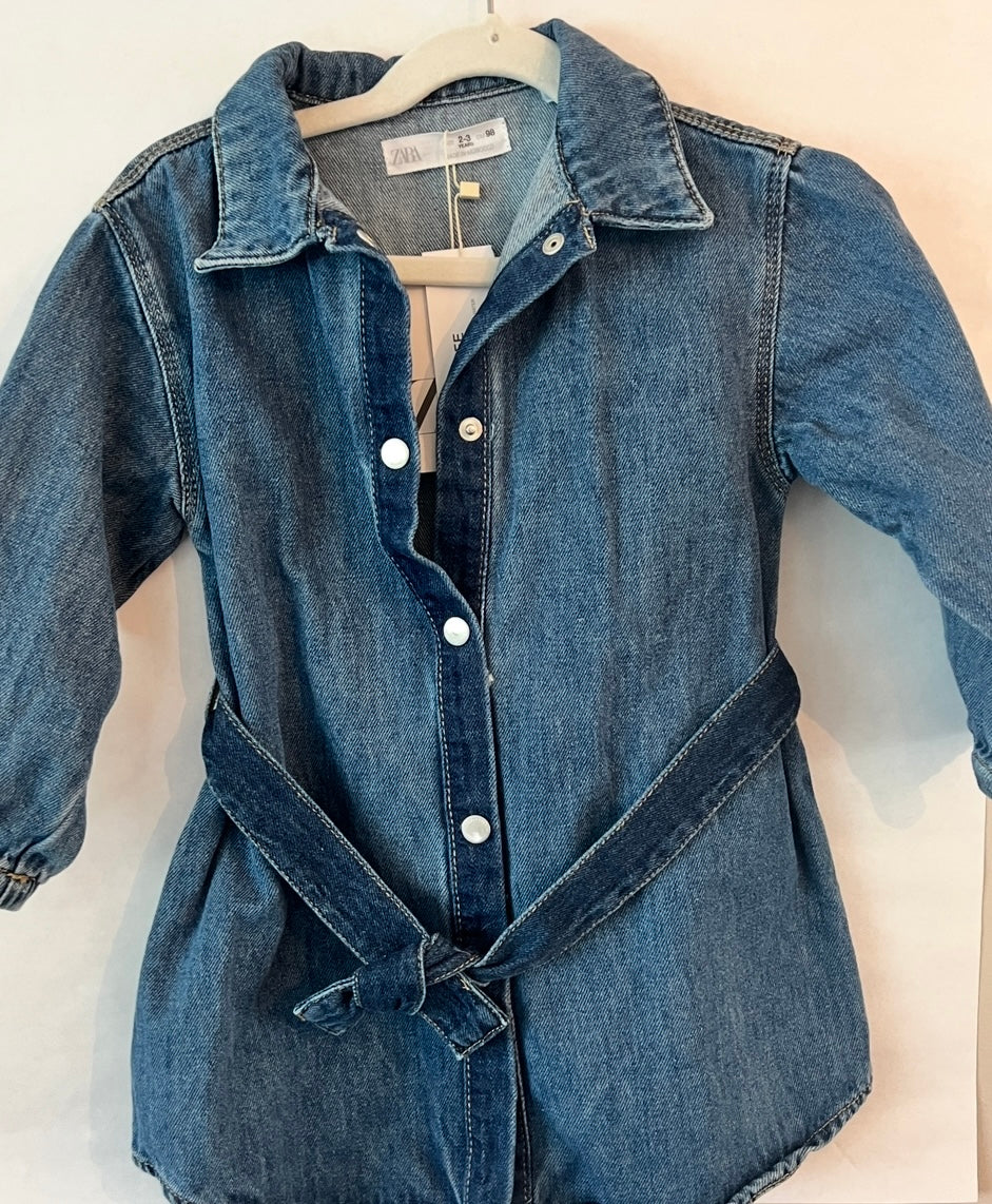 #215 H&M 3T Girl Dress (NWT)