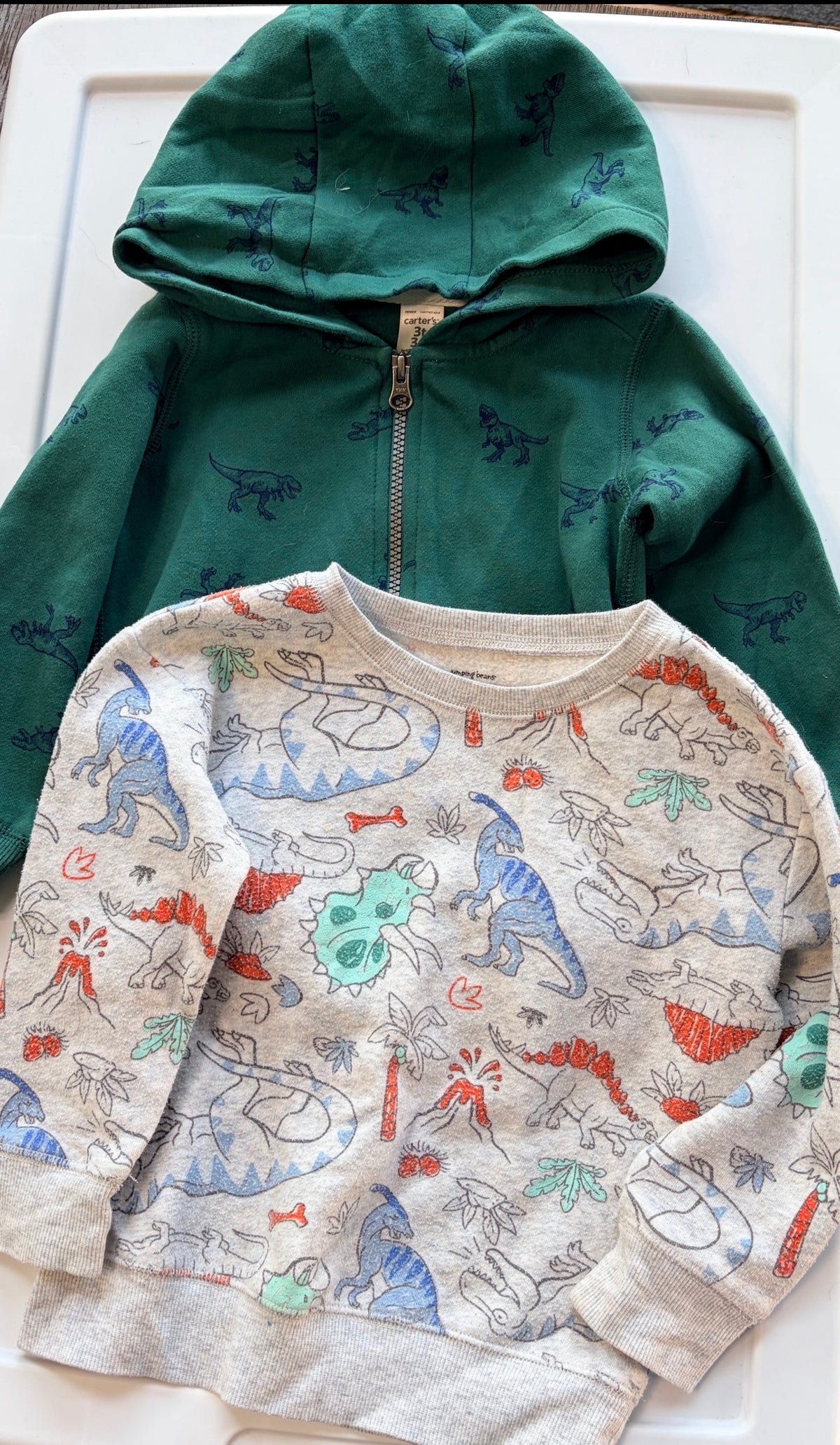 #35 dinosaur sweatshirts boys 3t